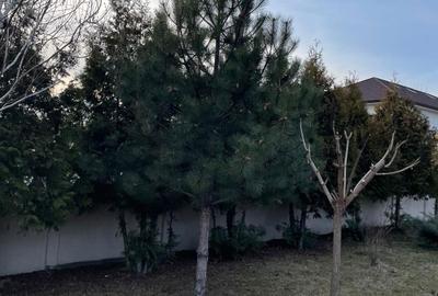 Spațiu comercial, în Central - 2