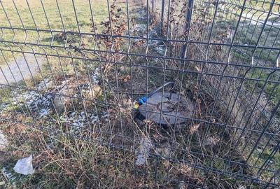 Teren de 937 mp, în Găvana - 14