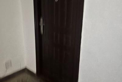 Apartament cu 2 camere semidecomandat în Tineretului - 6