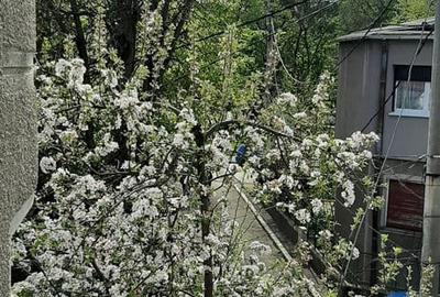 Casă cu 5 camere în Central - 7
