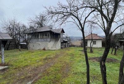 Casa batraneasca de vanzare - 4