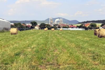 Potențial imobiliar! 2 case in curte, front 30 m, teren 15277 mp - 7