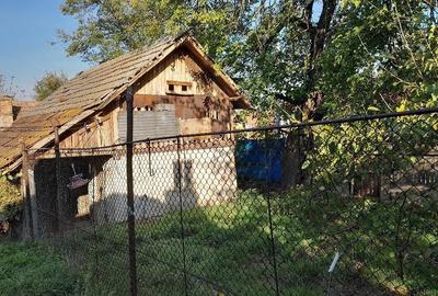 Casă cu 3 camere cu Teren 1500 Mp în Goicea - 4