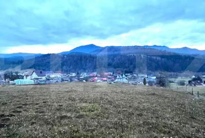 Teren de 2500 mp, în Colibița - 5