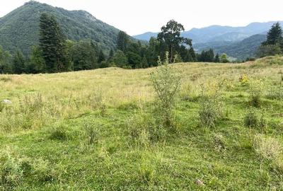 Teren Rasnov inntravilan PUZ) zona Parau Rece - 4