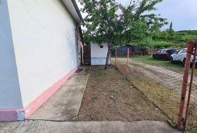 Casă cu 3 camere în Teslui - 3