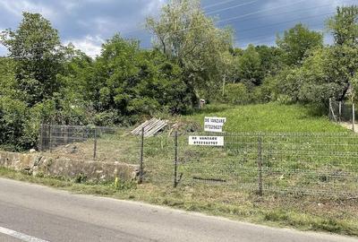 Teren de 4160 mp, în Provița de Sus - 7