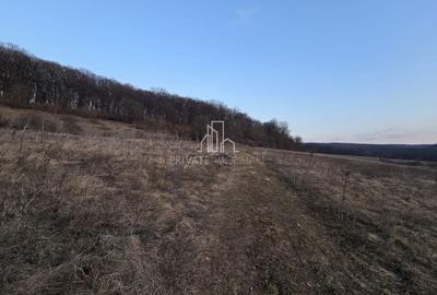 Teren agricol extravilan de 28800 mp, în Sud - 2