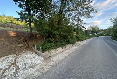Teren de 600 mp, în Bârnova - 1