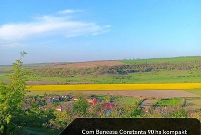 Teren de 900000 mp, în Băneasa - 2
