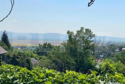 Casă cu 2 camere cu Teren 9500 Mp în Sacoșu Mare - 4