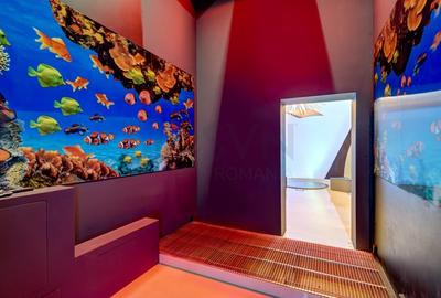 Casă individuală cu 15 camere cu Canalizare în Capitale - 16