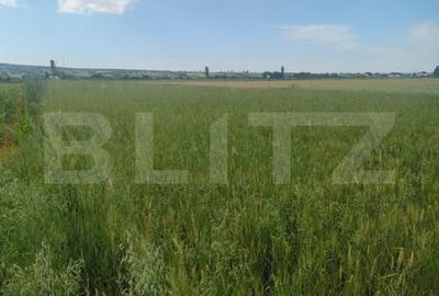 Teren de 2427 mp, în Horodnic - 1