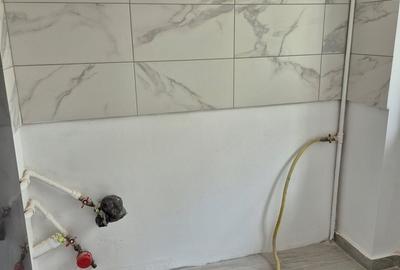 Trafic Greu Sebastian - 3