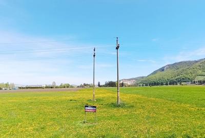 Teren Construcții intravilan de 8000 mp, în Bartolomeu - 2