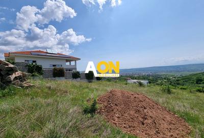Teren Construcții intravilan de 1000 mp, în Cetate - 2