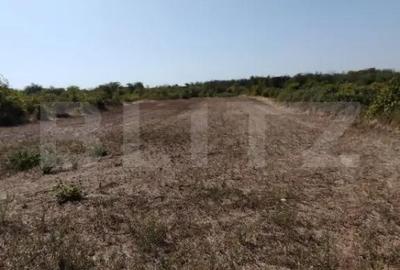 Teren de 2104 mp, în Cârcea