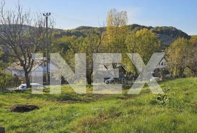 Casă cu 3 camere cu Teren 1600 Mp în Central - 8