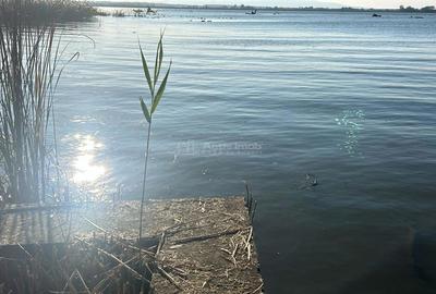 TEREN INTRAVILAN LA DUNARE sat. Macesti - 12