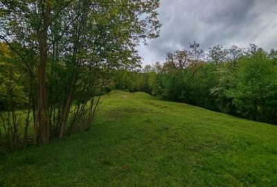 Spațiu comercial, în Drajna - 4