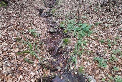 Spațiu comercial, în Poiana Mărului - 6