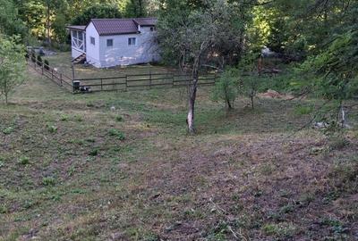 Spațiu comercial, în Slănic - 2