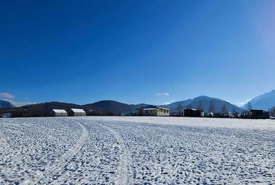 Teren de 5000 mp, în Pănicel - 3