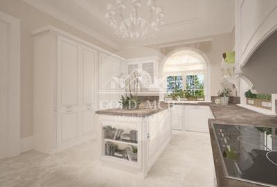 Vila noua boiereasca - Baneasa - Sisesti - 9