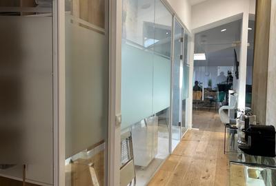 Vila istorică deosebită renovata si consolidată in zona Dorobanti Capitale - 7