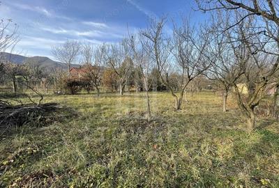 Teren intravilan 1.915 mp + cabana din lemn | Tocile Sadu - 1