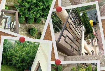 Casă cu 7 camere în Șura Mare - 7