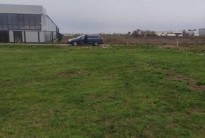 Teren de 1667 mp, în Cernica