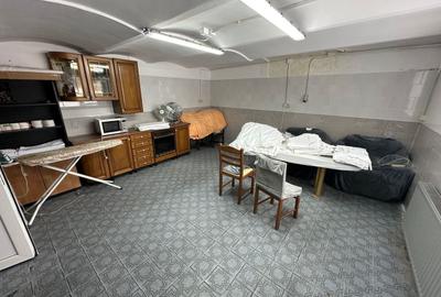 Casa Lipovei transformata in SAD - 40