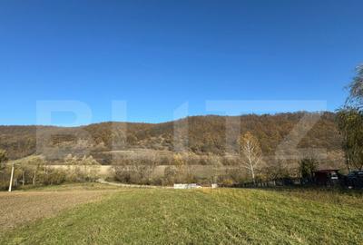 Teren de 2700 mp, în Cozia - 2