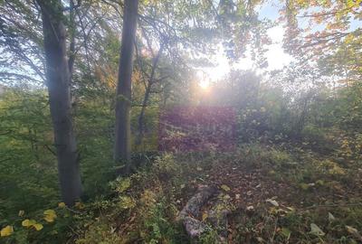 Teren intravilan de vanzare in Telega - 1