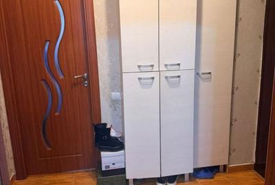 Apartament cu 2 camere decomandat în Preajba - 5