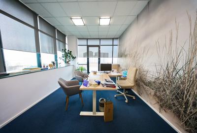 Birouri cu depozit de închiriat - 37