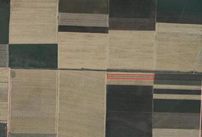 Teren agricol extravilan de 30000 mp, în Gurbănești - 4