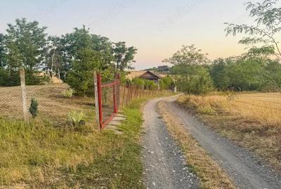 Teren de 6666 mp, în Alioș - 5