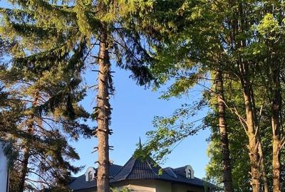 Conac istoric in Predeal Conac istoric in Predeal - 7