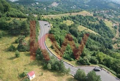 Teren Construcții intravilan de 6714 mp, în Drumul Poienii
