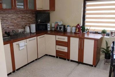 Casă cu 6 camere în Băiuț - 1