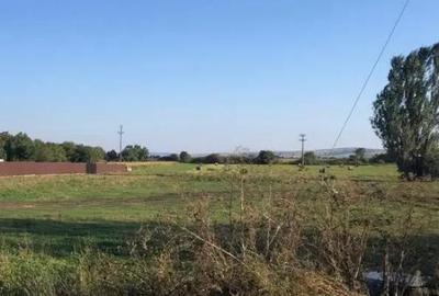 Teren de 12200 mp, în Rădăuți - 1