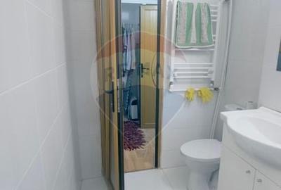 Apartament cu 2 camere semidecomandat, mobilat în Brazda lui Novac - 11