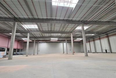 Hala industrialaTimisoara , 2500 mp, Calea Lugojului - 10