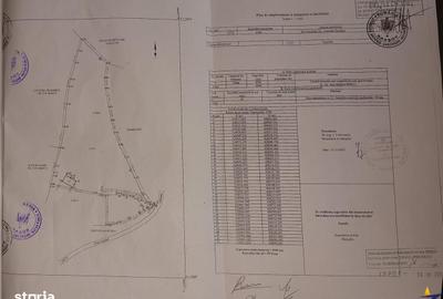 Teren de 6966 mp, în Fundata - 4