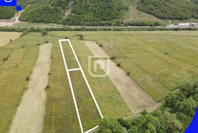 Teren Construcții extravilan de 2832 mp, în Voroneț - 2