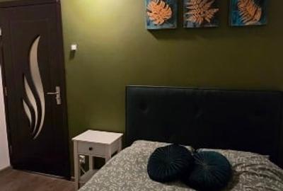 Apartament de inchiriat, Iasi ,Alexandru cel Bun Apartament de inchiriat, Iasi ,Alexandru cel Bun - 2