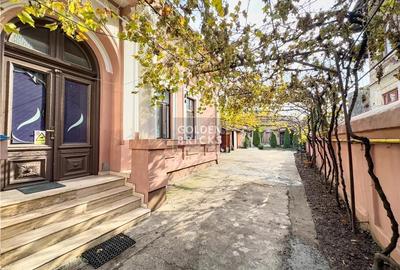 Pache Protopopescu | PROTV | Vizibilitate |  Curte 250 mp | Garaj - 6