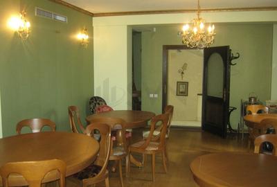 Vila renovata - zona Cismigiu - 5